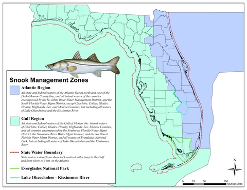 snook management zone robalo 