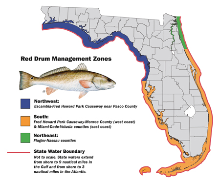 red drum management zones redifsh map