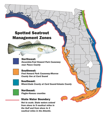 spotted sea trout map